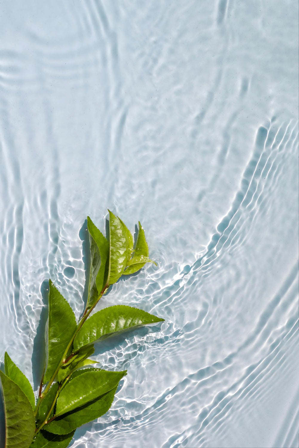 Natural Relief at Home: How Aveaafy Massage & Cupping Devices Transform Your Wellbeing